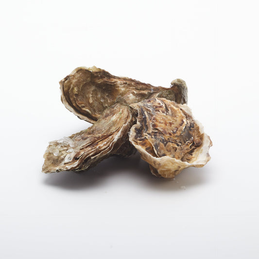 Ustrice "fine de claire" živé